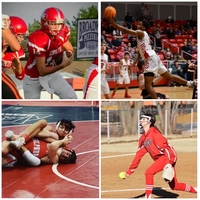 All Sports Video 2020